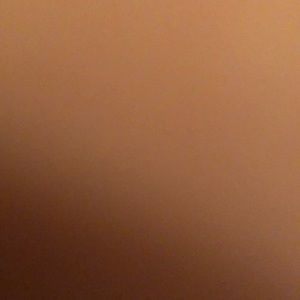 Meet your Posher, Sunny